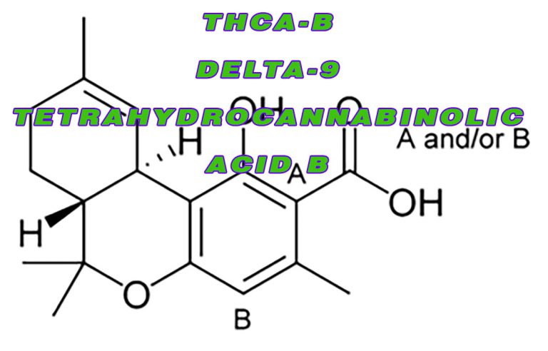 THCA-B – Delta-9- Tetrahydrocannabinolic Acid B – A Nonpsychoactive ...