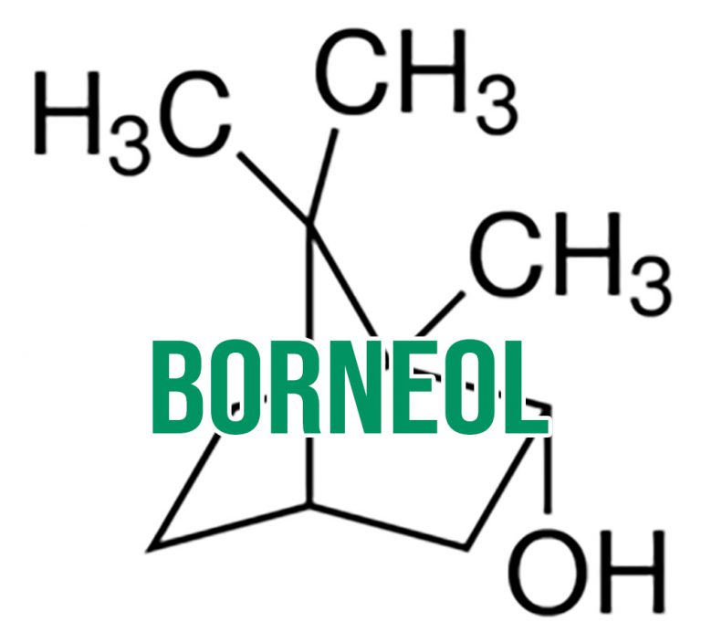 Borneol 410 and the Chinese Herbs Healing Elev8 Presents