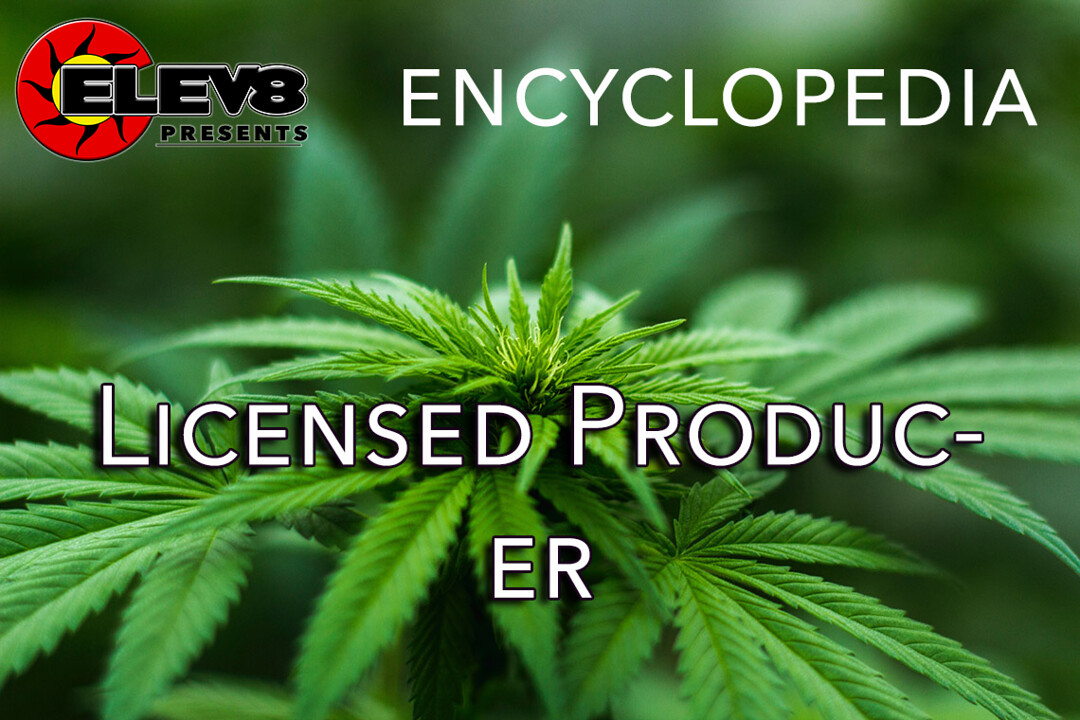 licensed-producer-elev8-presents