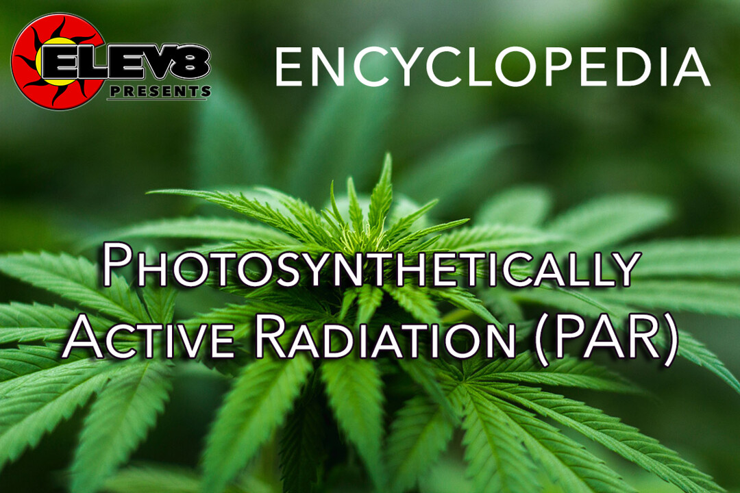 photosynthetically-active-radiation-par-elev8-presents